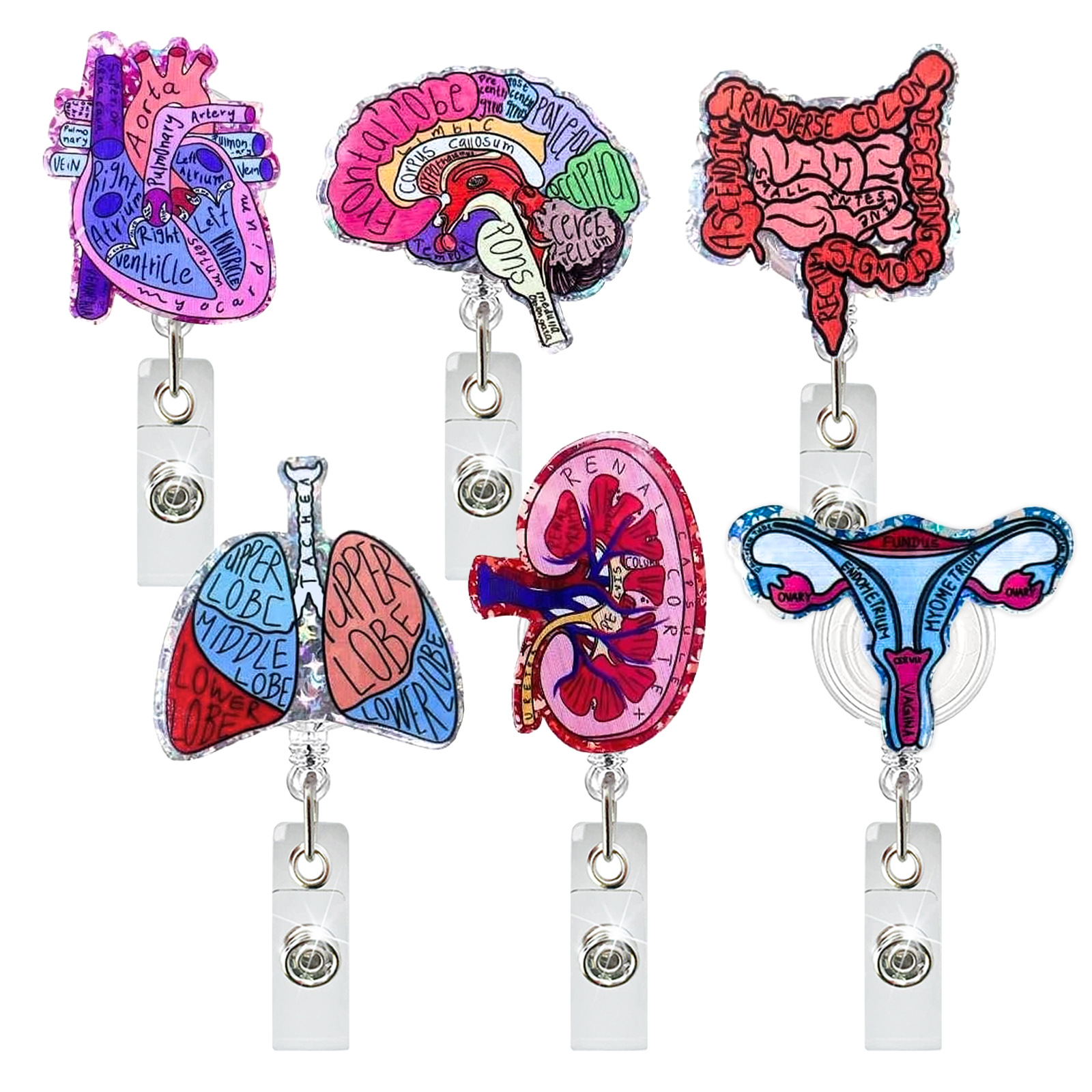 Creative Acrylic Heart Lung Br - đánh giá và giá Xray Tech Accessories
