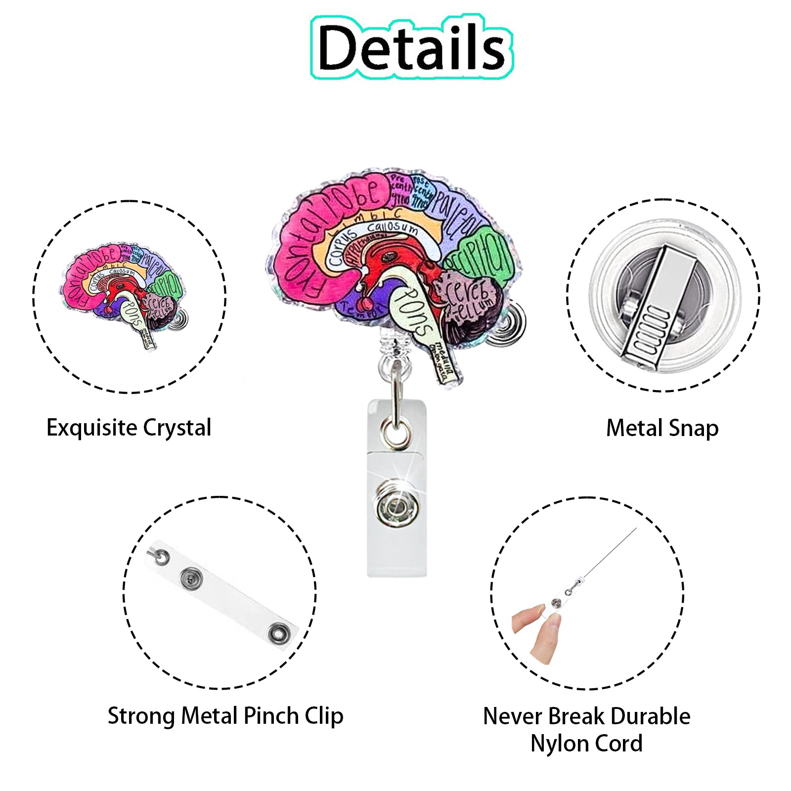 Creative Acrylic Heart Lung Br - đánh giá và giá Xray Tech Accessories