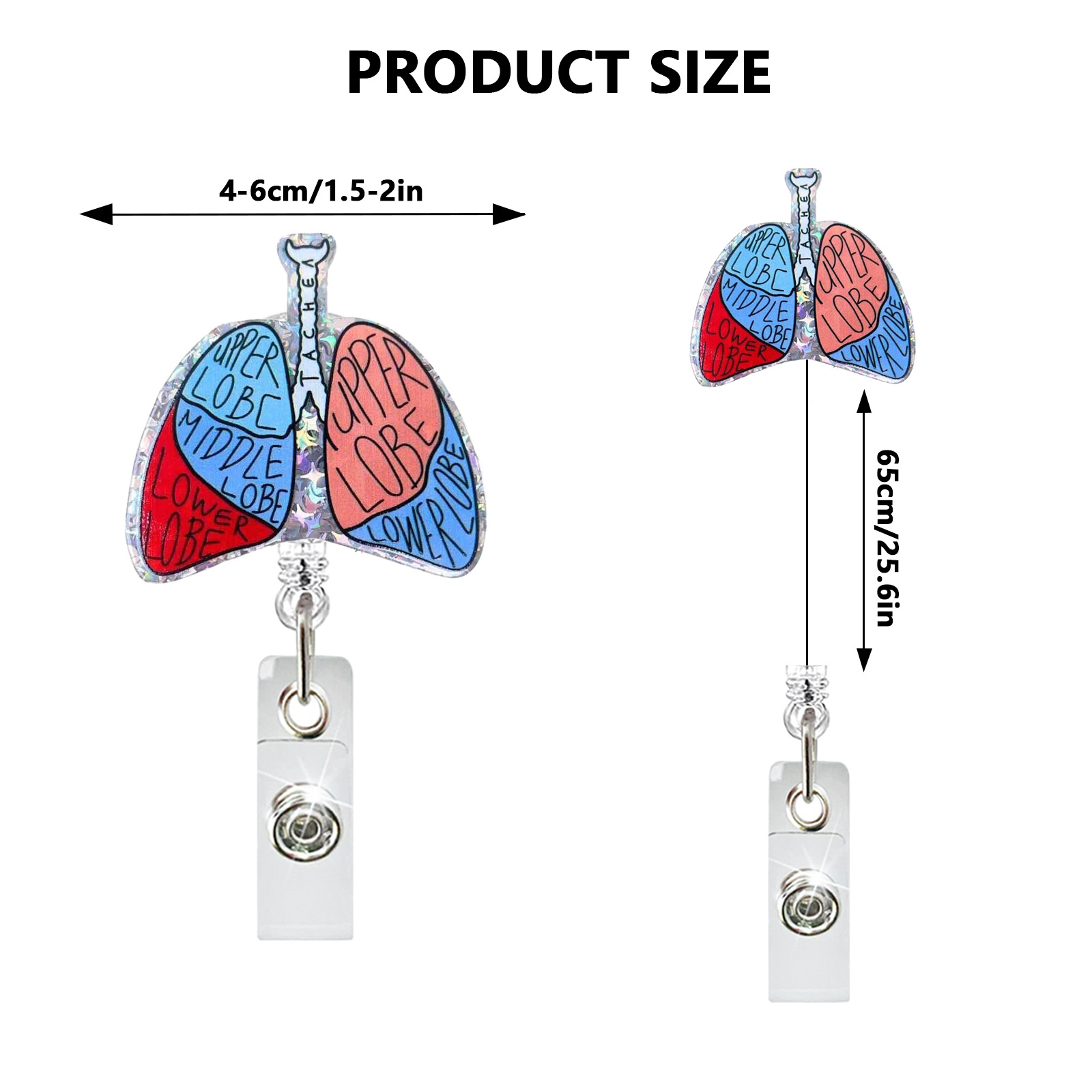 Creative Acrylic Heart Lung Br - đánh giá và giá Xray Tech Accessories