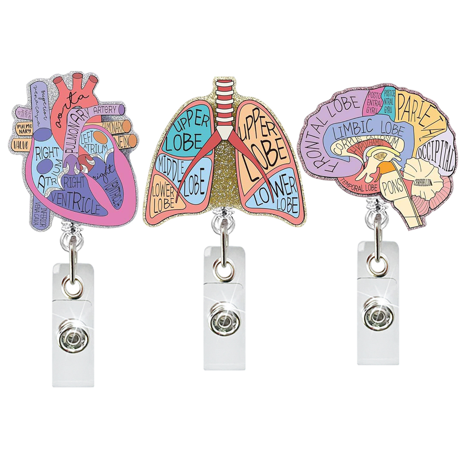 Medical Care Heart Lungs Brain - đánh giá và giá Xray Tech Accessories