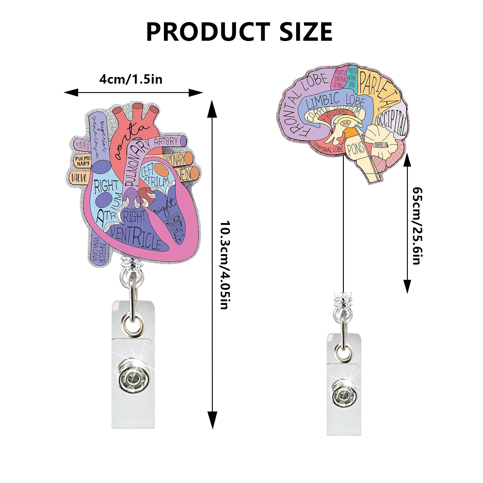Medical Care Heart Lungs Brain - đánh giá và giá Xray Tech Accessories