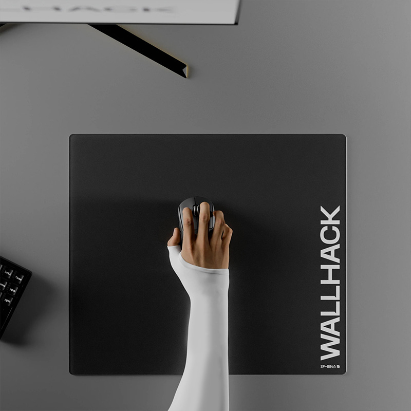 W-Wallhack SP004 SP005 Glass G - đánh giá và giá Tech Desktop Accessories